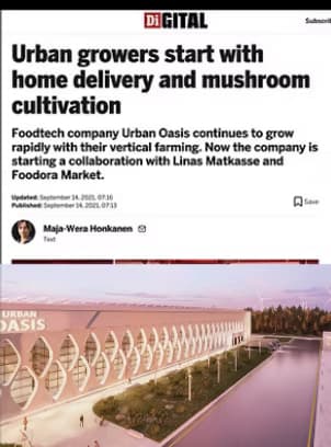 Urban Oasis