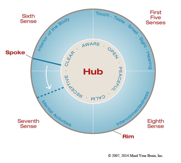 Wheel of Awareness