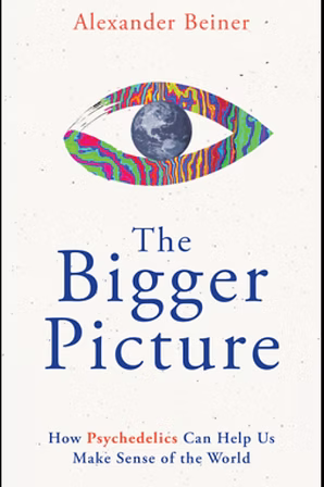 The Bigger Picture
